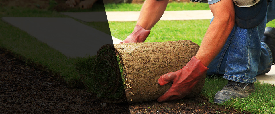 Winslow Landscapers